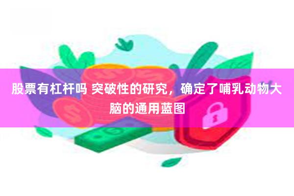 股票有杠杆吗 突破性的研究，确定了哺乳动物大脑的通用蓝图