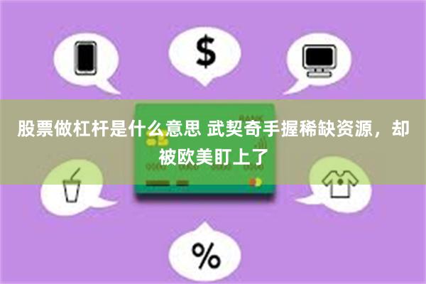 股票做杠杆是什么意思 武契奇手握稀缺资源，却被欧美盯上了