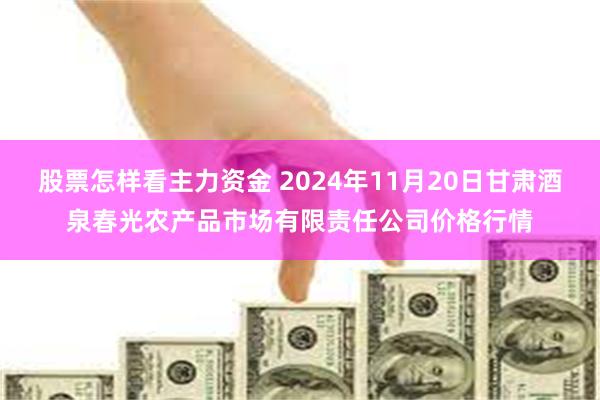 股票怎样看主力资金 2024年11月20日甘肃酒泉春光农产品市场有限责任公司价格行情