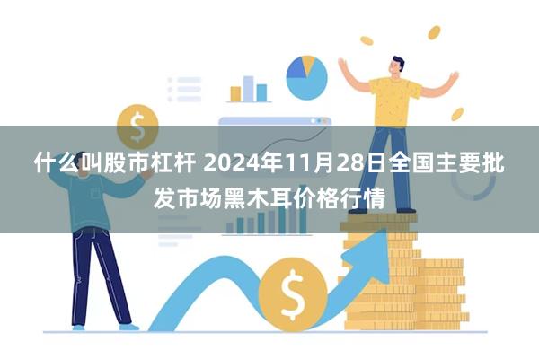 什么叫股市杠杆 2024年11月28日全国主要批发市场黑木耳价格行情