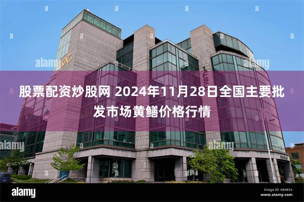 股票配资炒股网 2024年11月28日全国主要批发市场黄鳝价格行情