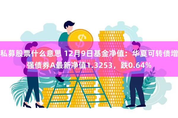 私募股票什么意思 12月9日基金净值：华夏可转债增强债券A最新净值1.3253，跌0.64%