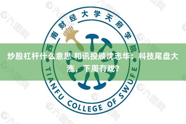 炒股杠杆什么意思 和讯投顾沈志华：科技尾盘大涨，下周有戏？