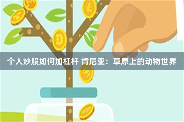 个人炒股如何加杠杆 肯尼亚：草原上的动物世界